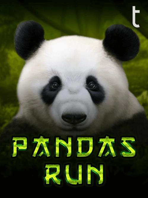 Jogo de aposta blaze